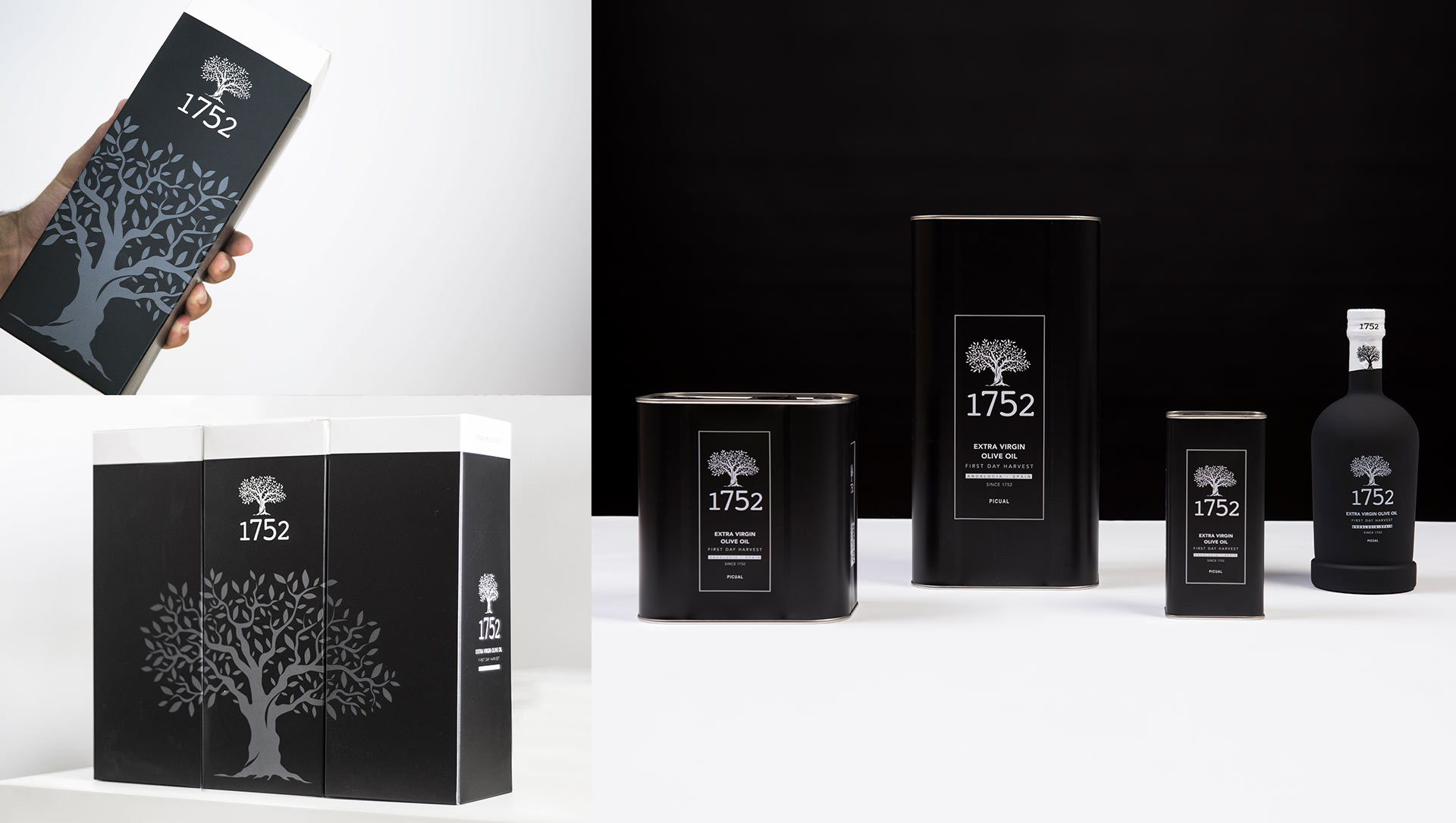 david_crespo_design_portfolio