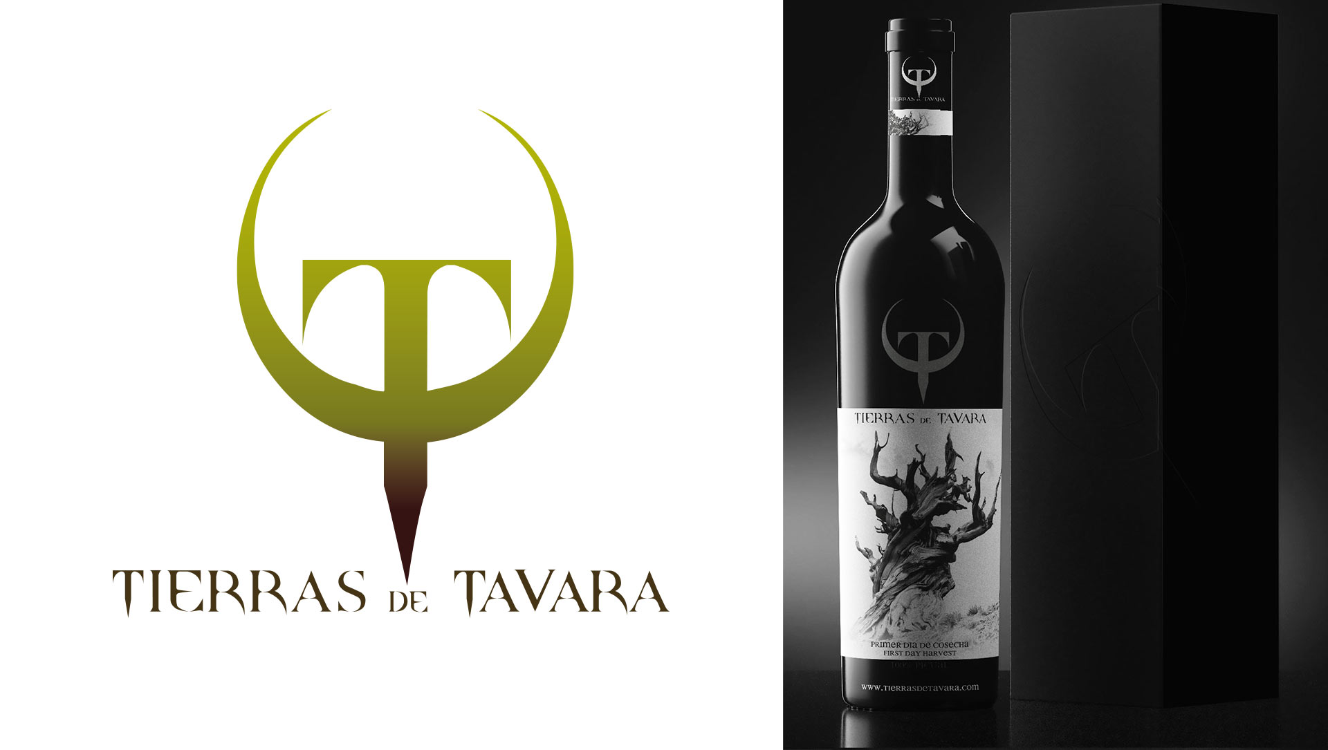 david_crespo_design_portfolio